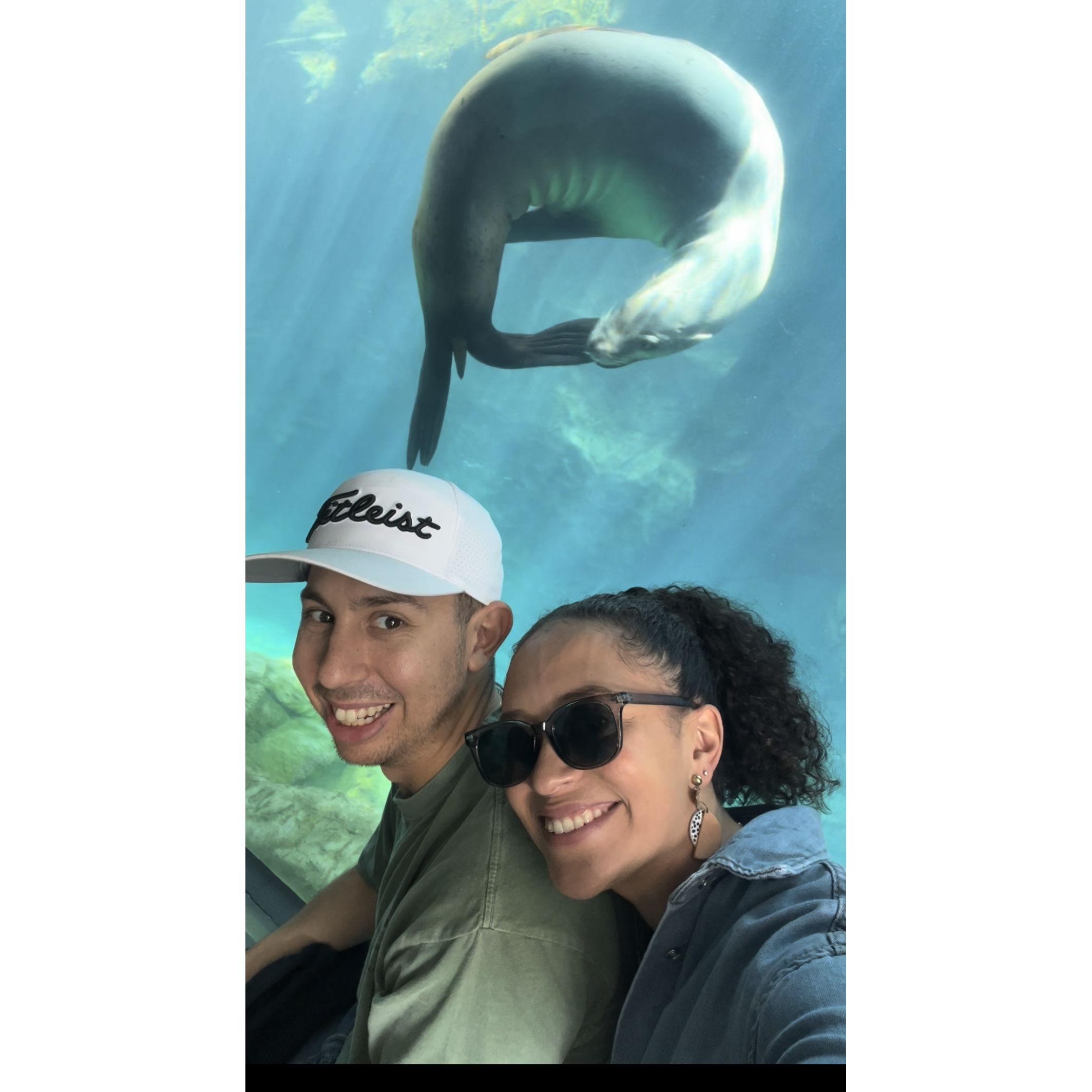 LA Aquarium