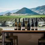 Wine Tasting in Edna Valley