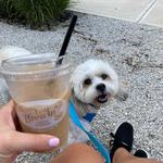 How You Brewin Coffee Company