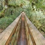 Myakka River State Park