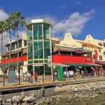 Have a Drink at Señor Frog's