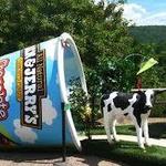 Ben & Jerry’s