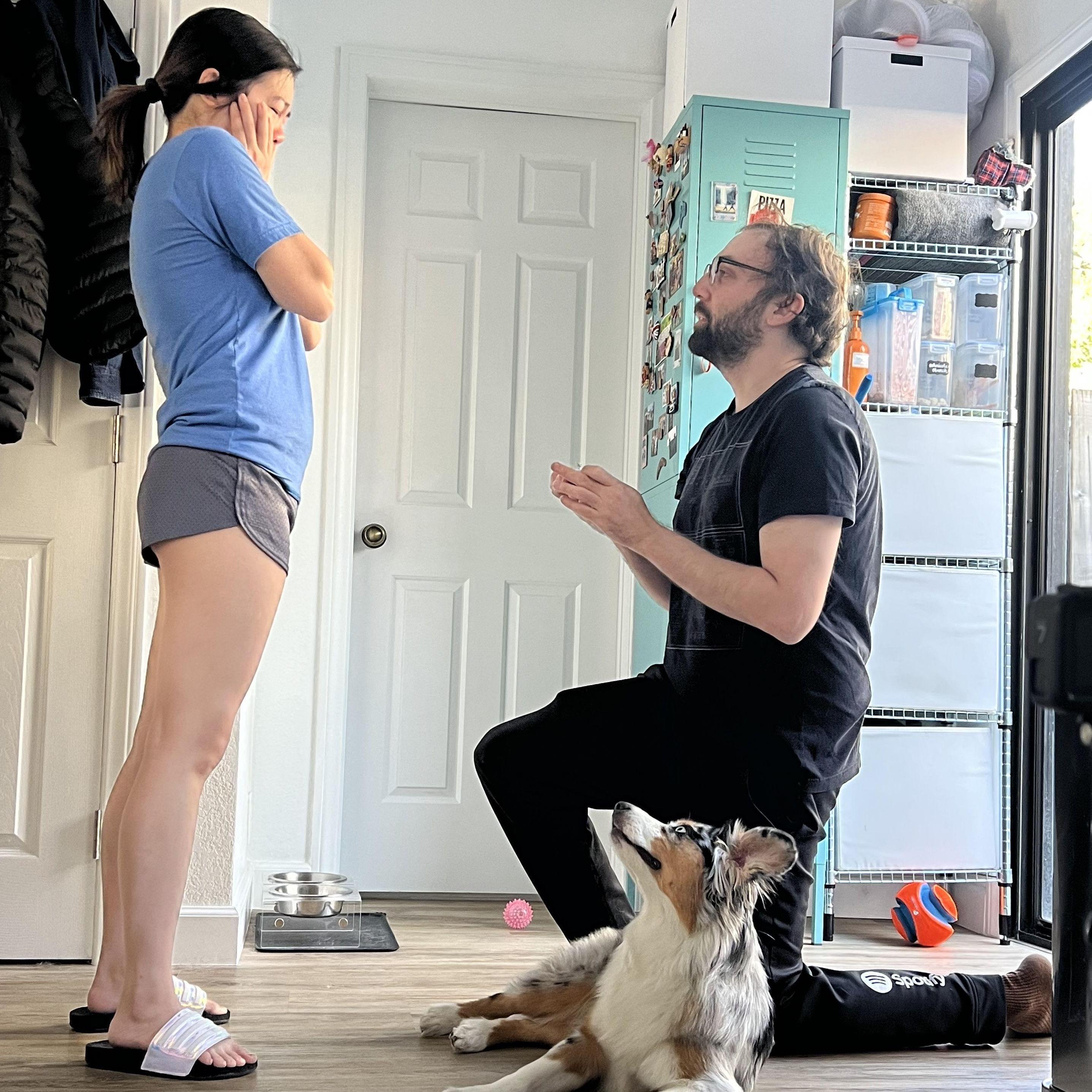Surprise proposal!