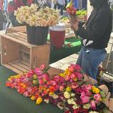 Bellingham Farmers Market
