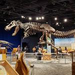 Orlando Science Center