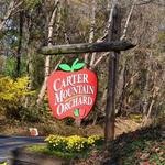 Carter Mountain Orchard