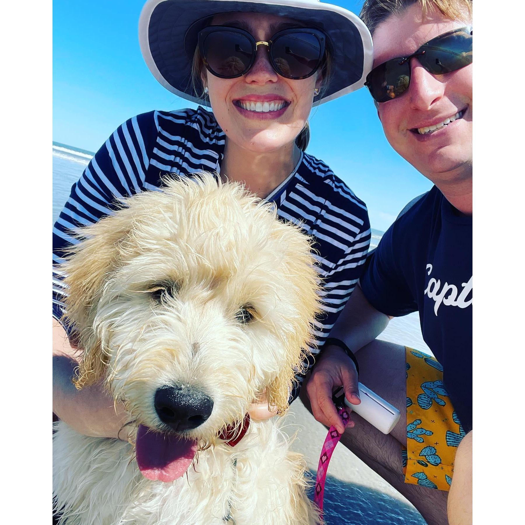 Family beach day in Avalon!