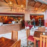 Marcolino Sayulita