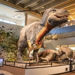 Saint Louis Science Center