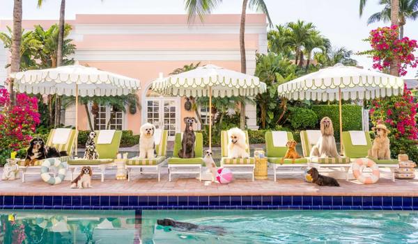 The Wedding Website of Kelly Hennessy and John Stephenson