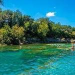 Barton Springs Municipal Pool