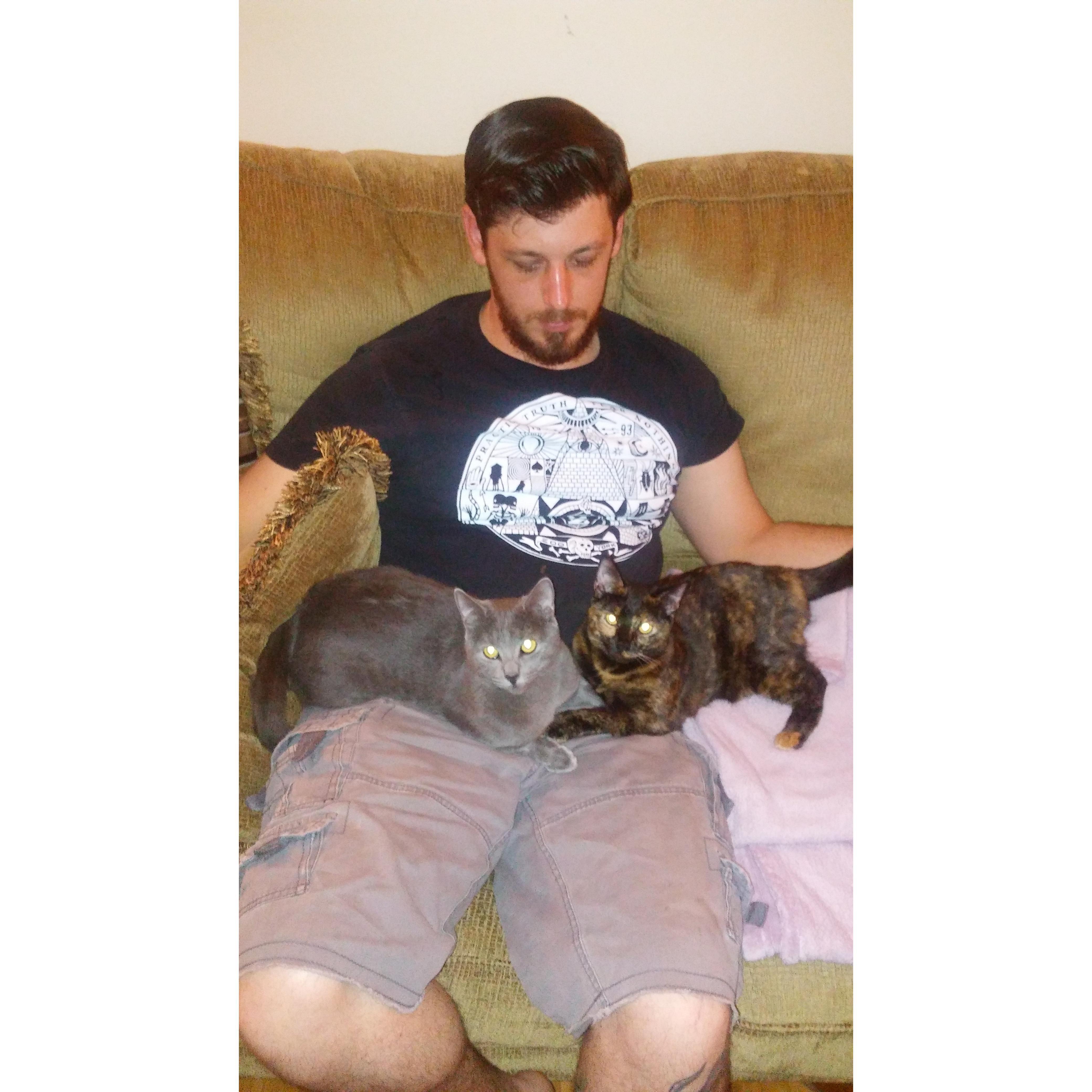 The kitten whisperer