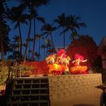 Luau
