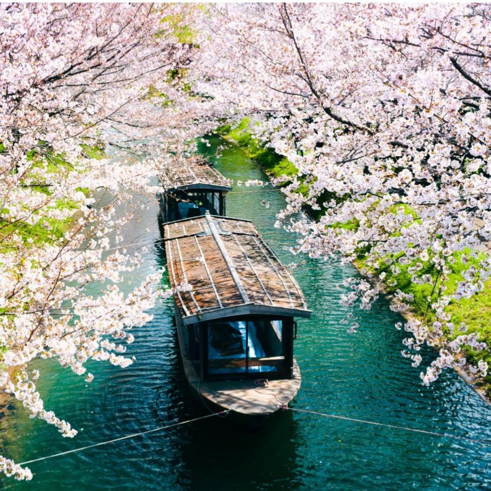 *Bridal Shower gift-Honey moon excursions