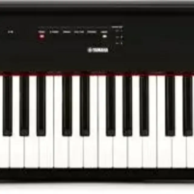 Yamaha P-125 88-key Weighted Action Digital Piano - Black