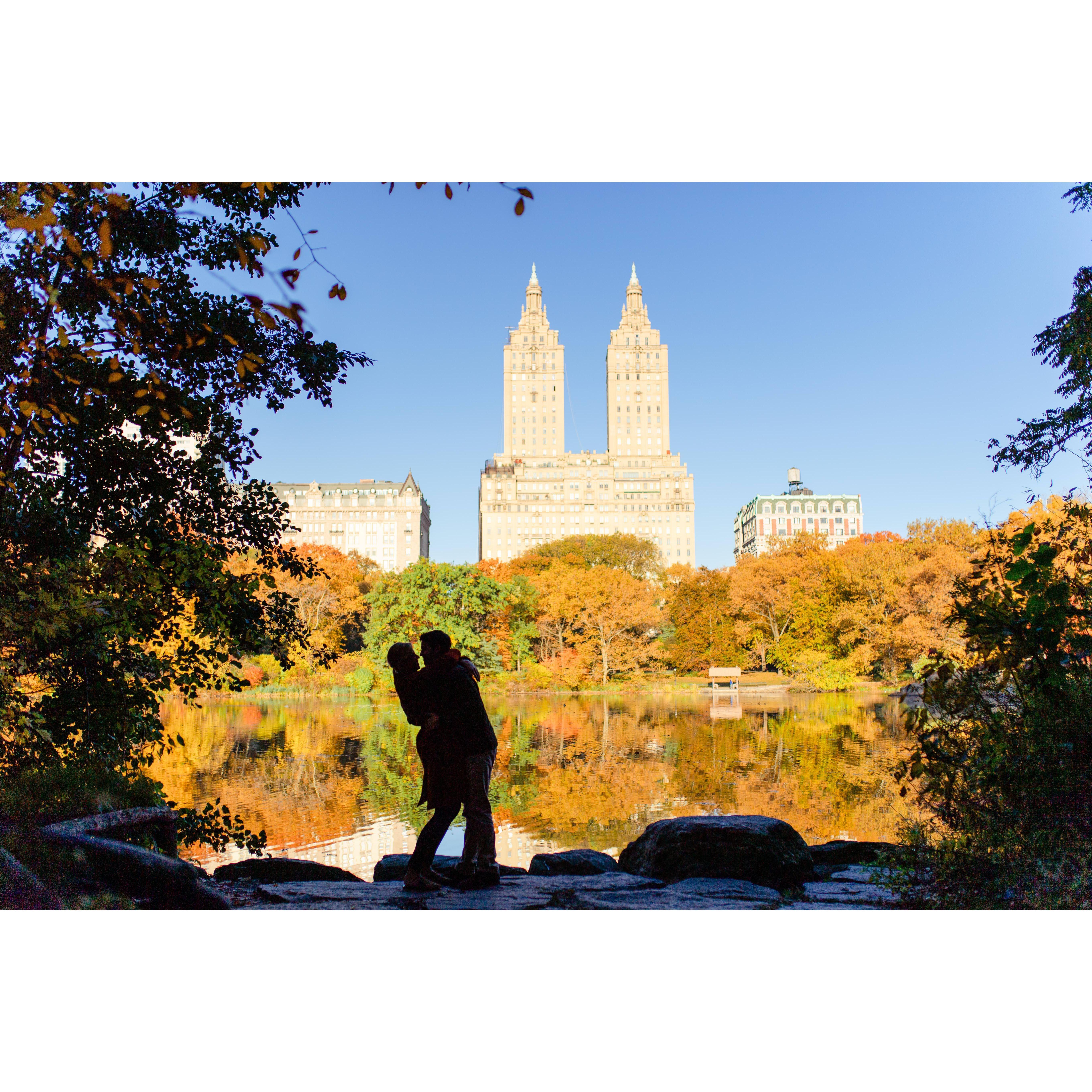 Central Park, November 2020