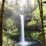 Silver Falls State Park