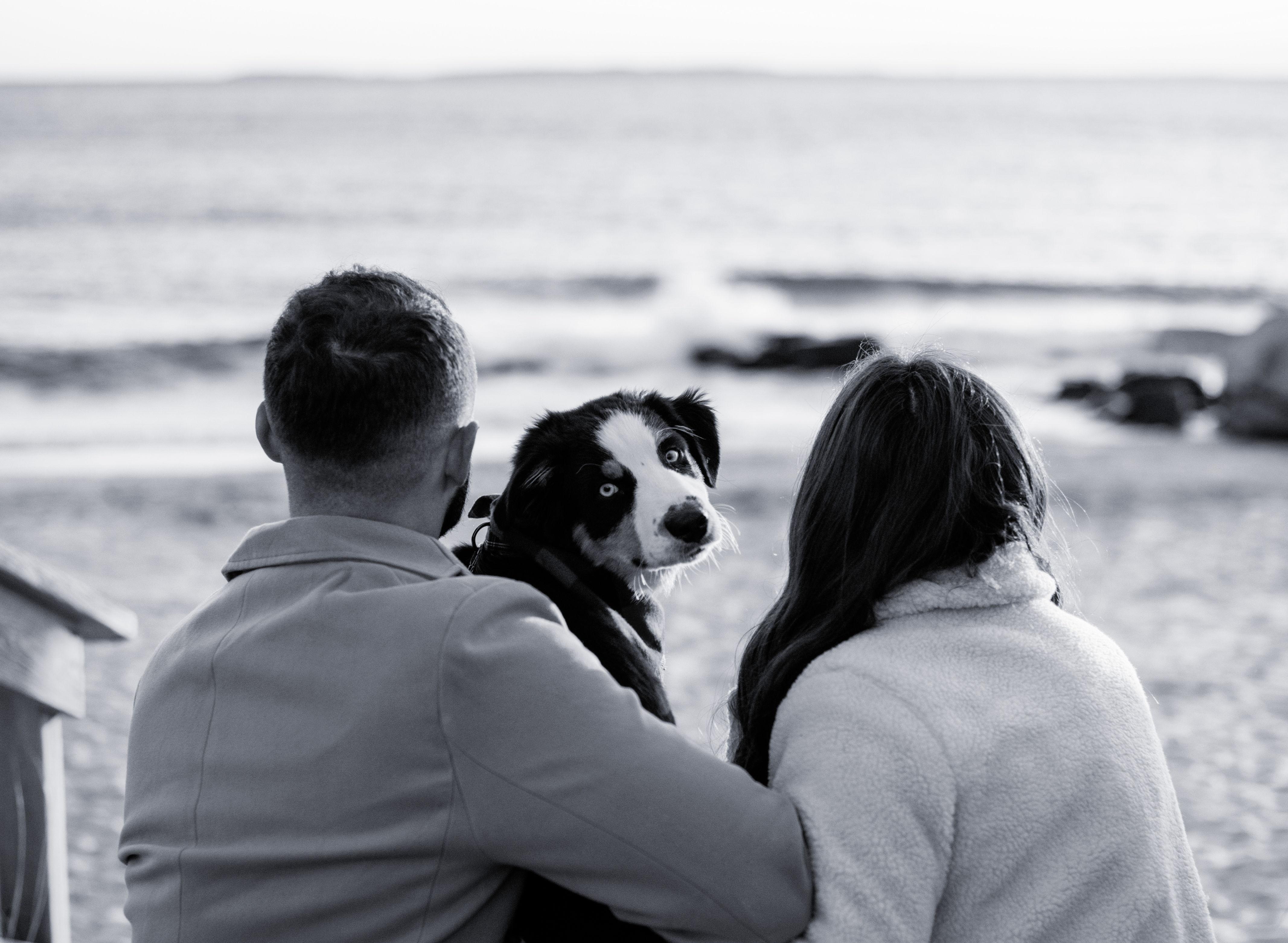 The Wedding Website of Hannah Lee Coombs and Micheal John Belmont