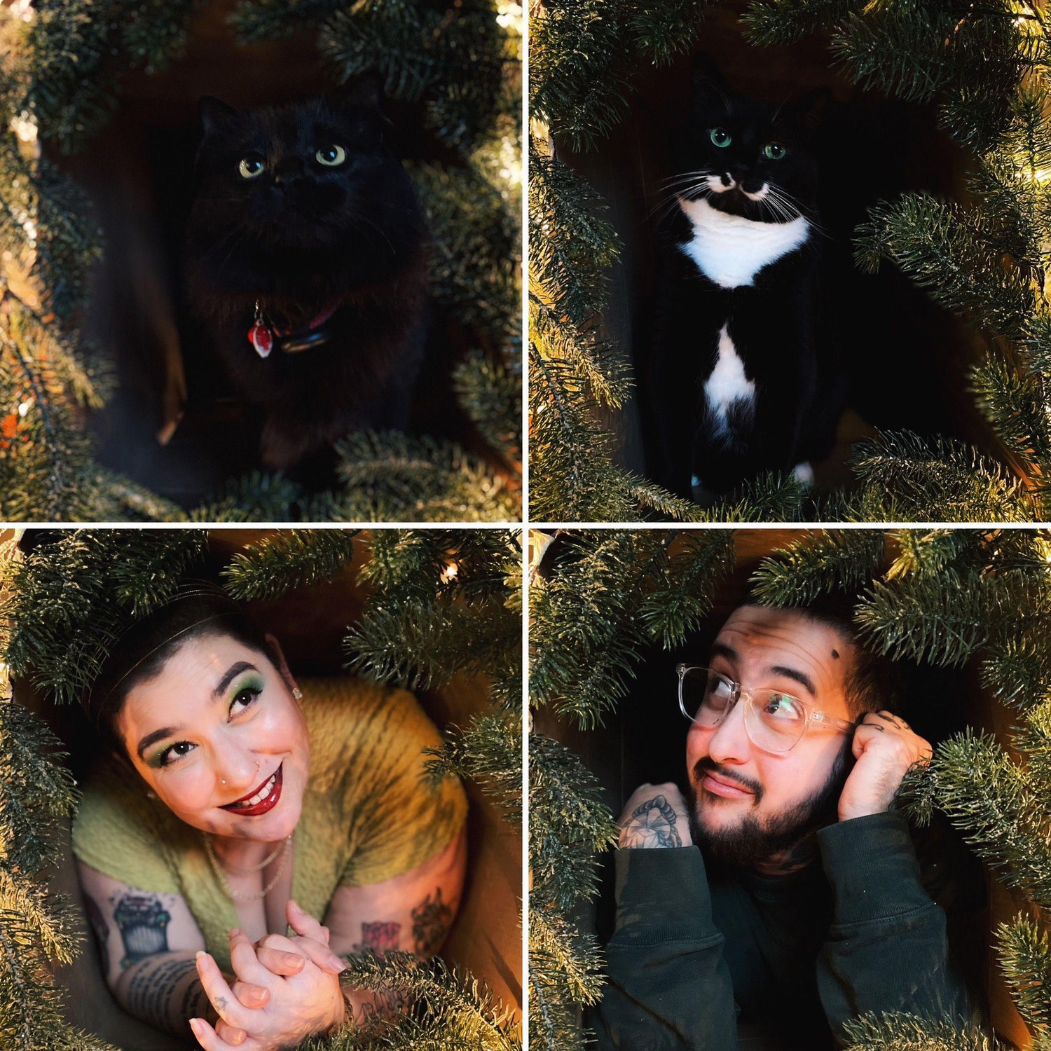 Our first family holiday photo