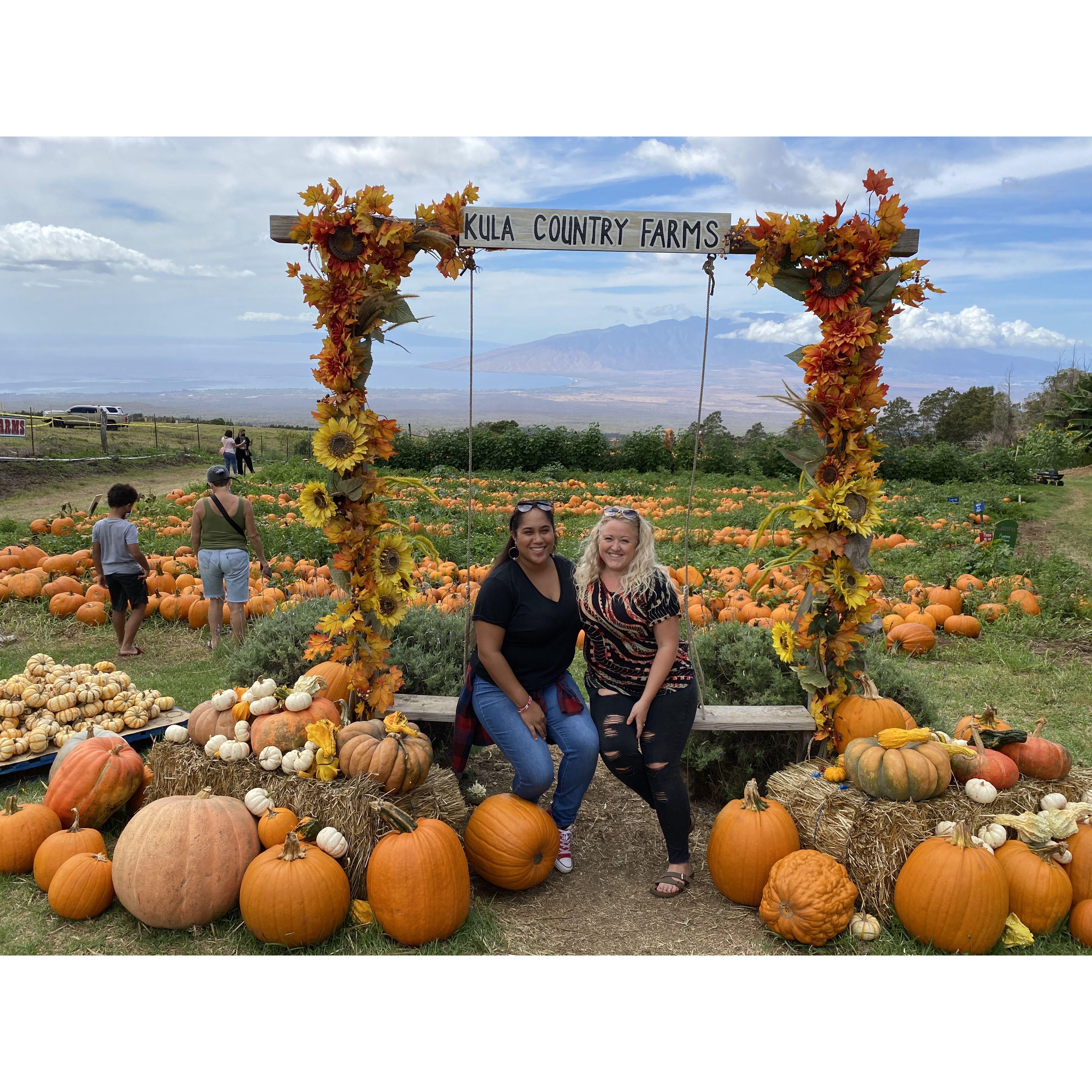 First trip to the pumpkin patch, Kula, HI