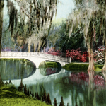 Magnolia Plantation and Gardens