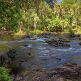 Hillsborough River State Park