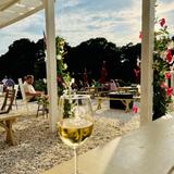 Cape Cod Winery