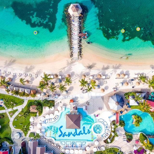 Draft