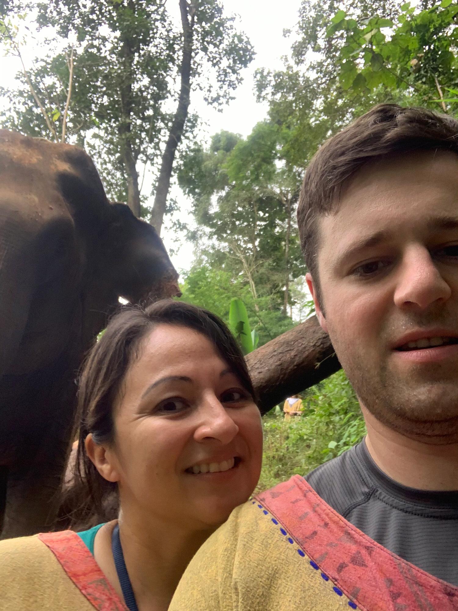 Spending the day with elephants in Thailand