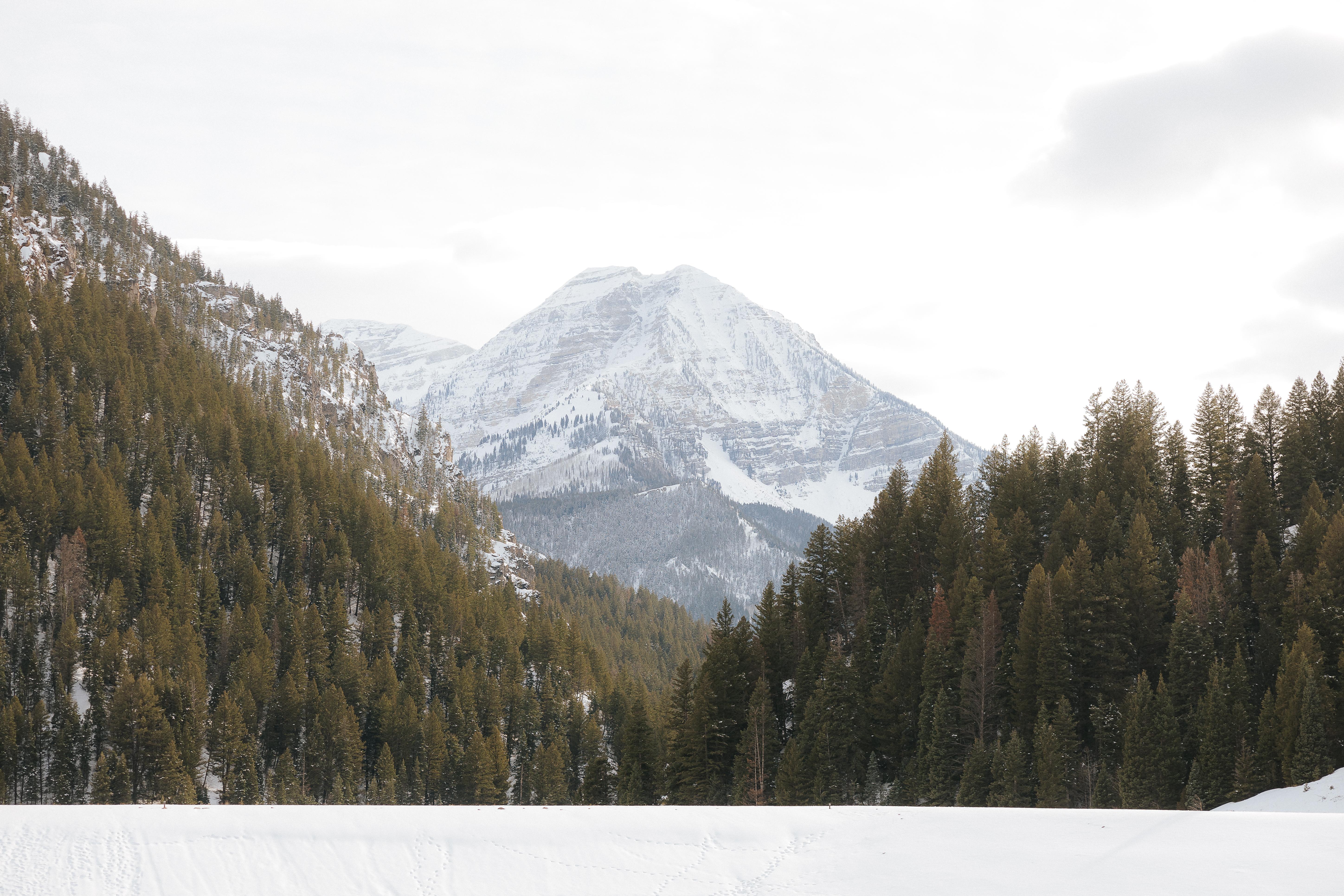 3cf478d7-1bba-489c-ac12-fe794789b5c9