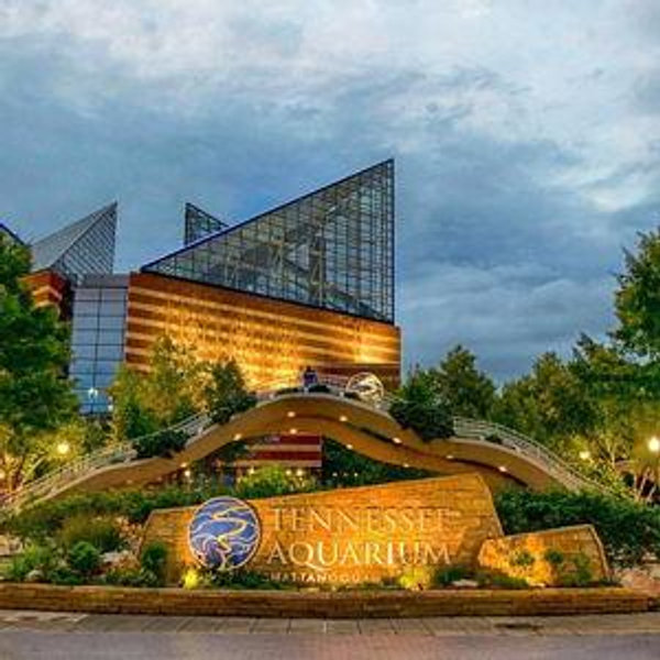Tennessee Aquarium Membership