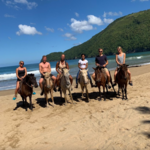 Horseback riding ... on the beach!