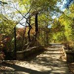 Arbor Hills Nature Preserve