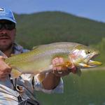 Fly Fishing Montana