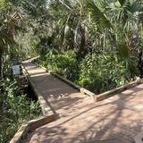 Six Mile Cypress Slough Preserve