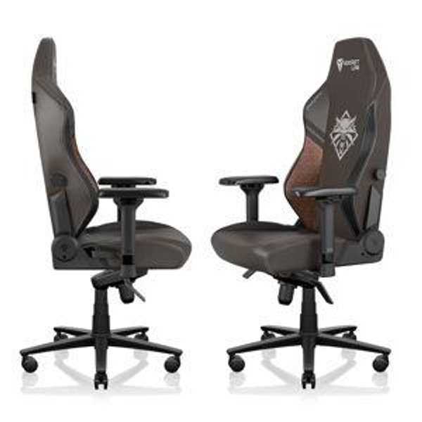 Computer Chair for Sara