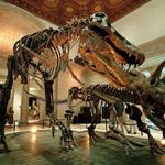 Natural History Museum of Los Angeles County