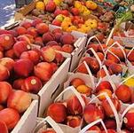 Arvada Farmers Market