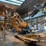 Natural History Museum of Los Angeles County