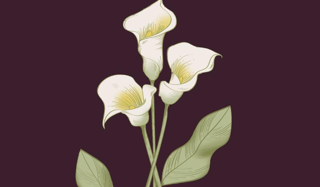 Footer image