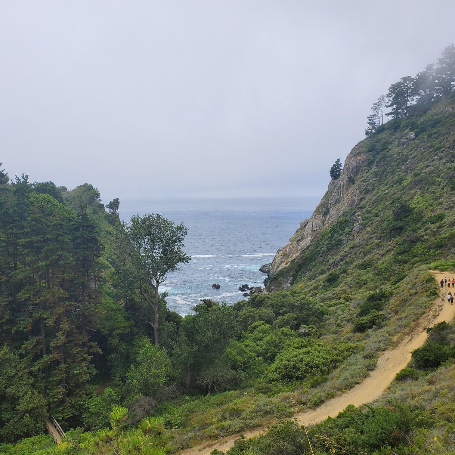 Beautiful trail off of Big Sur!