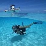 Scuba Diving Tours