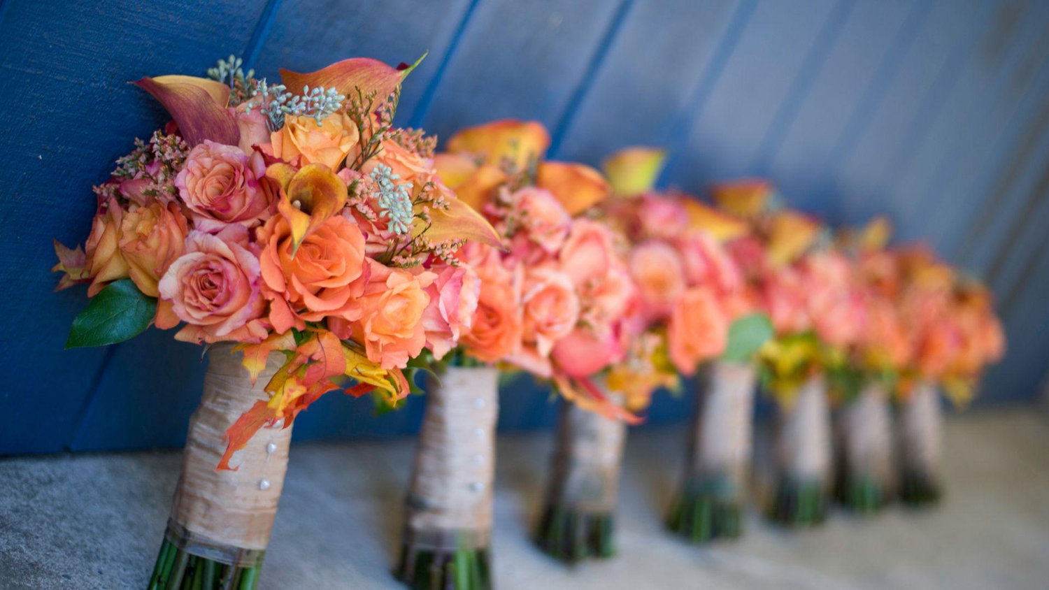 The Wedding Website of Jeanine Calhoun and David Indarawis