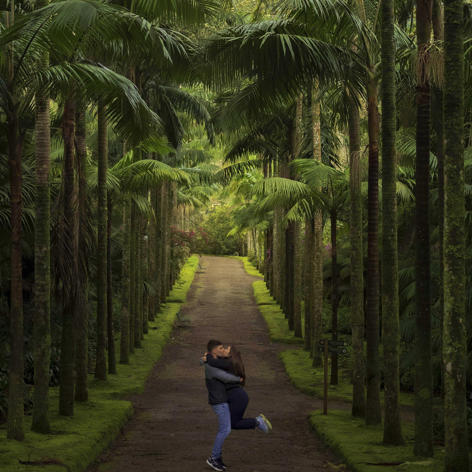February 2025, São Miguel Island, Azores