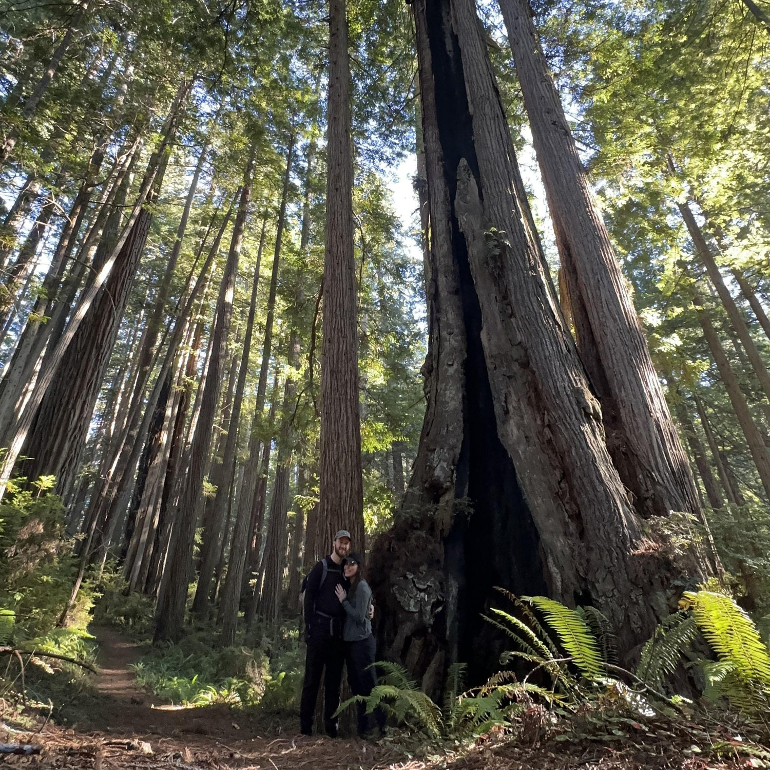 01-17-26: A "short" 12-mile hike through the Redwoods post engagement... Zac really enjoyed pointing out Every. Single. Big. Tree (spoiler alert: they're all big)