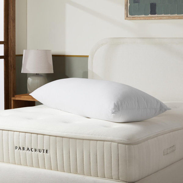 Parachute Down Alternative Pillow Insert