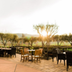Viansa Sonoma Winery & Tasting Room