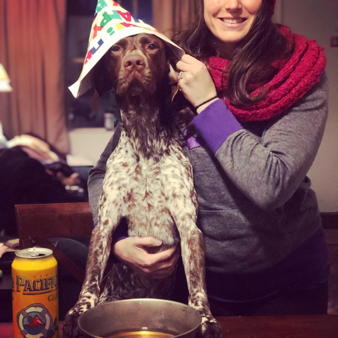 Happy 3rd (well 21st dog years) birthday Atticus! We did give him a full beer to enjoy. January 2019