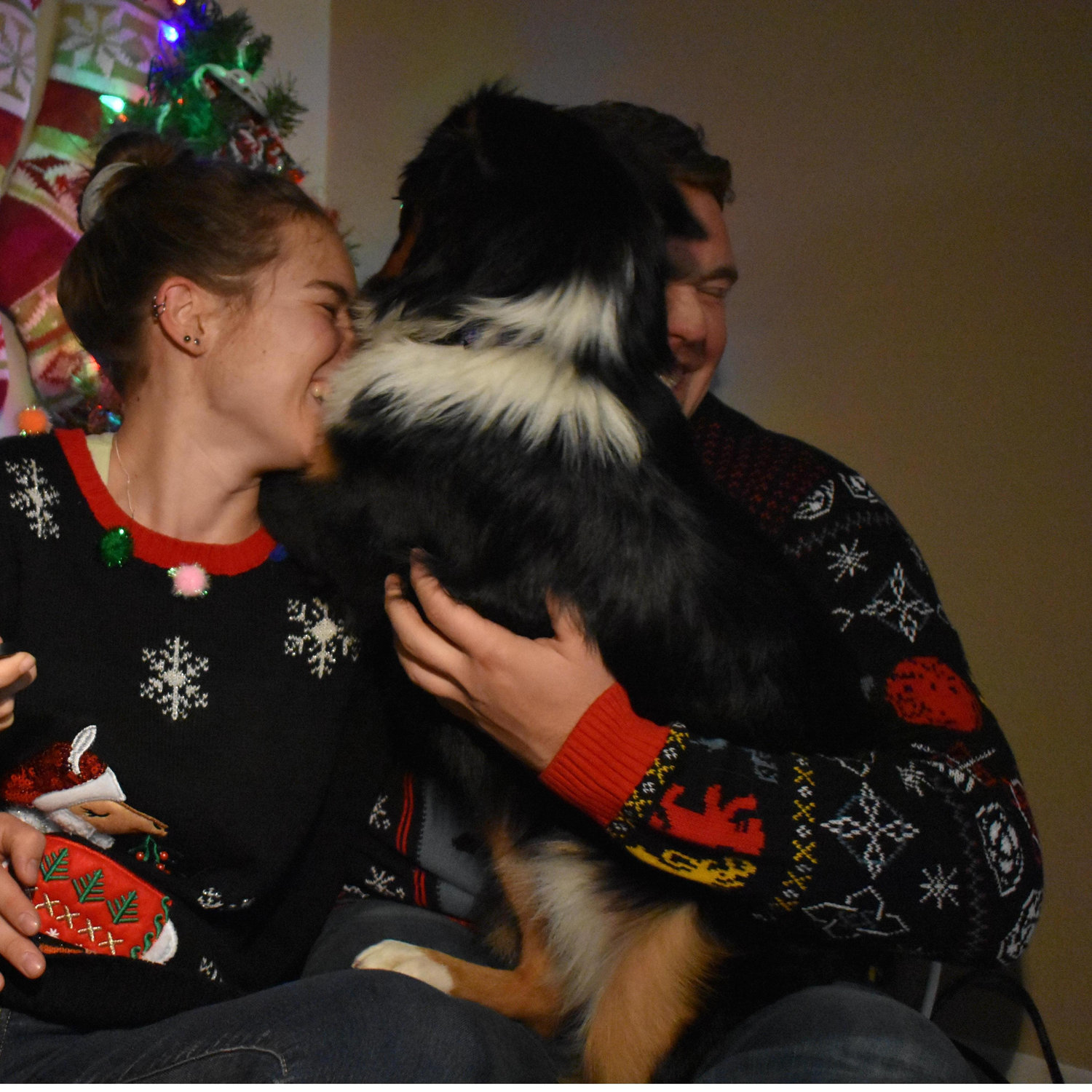 a christmas nightmare
