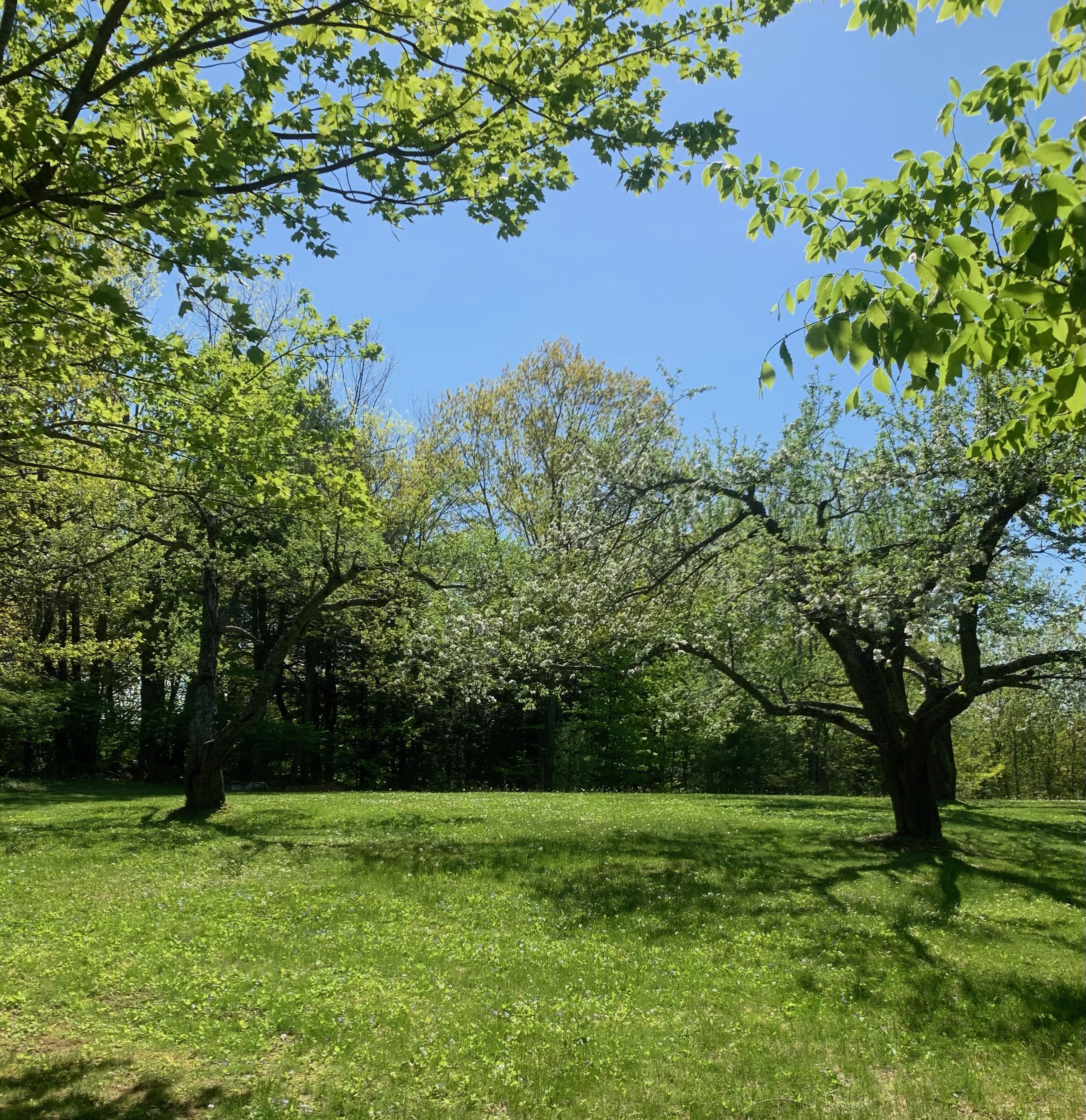 The Wedding Website of Grace Puksta and Jacob Bacon